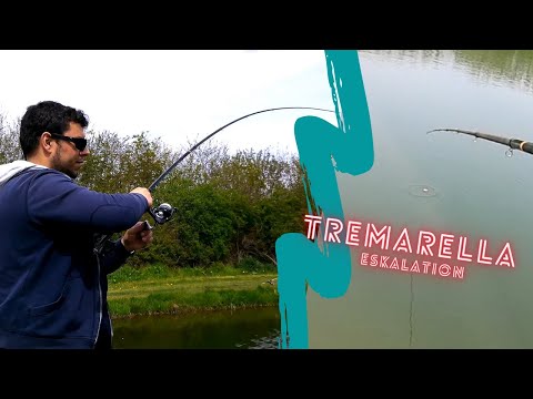 Forellenangeln | Tremarella für Einsteiger mit Pose auf Forellen | Angel und Freizeithof Weseloh