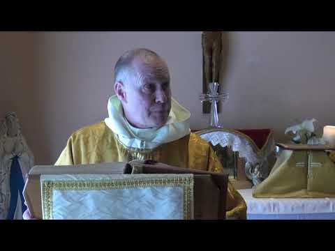 Fr. David Jones - Preach to all Creation - L'annuncio ad ogni creatura