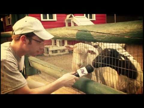 Official Mogen Av Promotional Video 2010