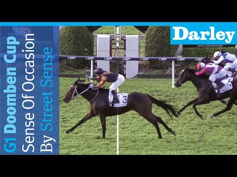 Sense of Occasion by Street Sense wins the G1 Doomben Cup