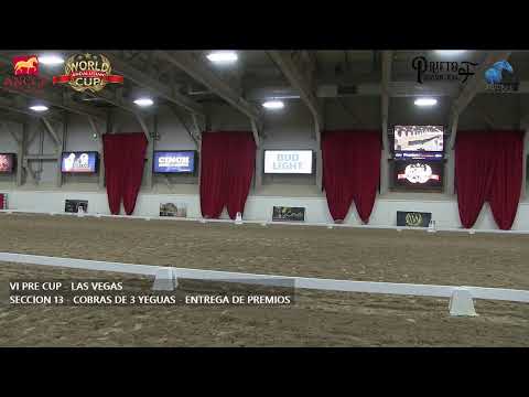 VI CUP PRE 2019. Concurso 2** Clasificatorio para el V Campeonato del Mundo de PRE - SICAB 2019