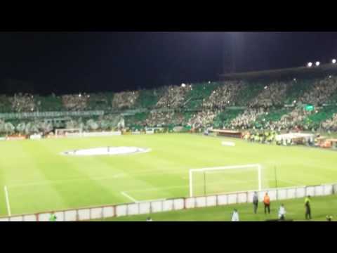 "Salida Atlético nacional vs Rosario central" Barra: Los del Sur &bull; Club: Atlético Nacional