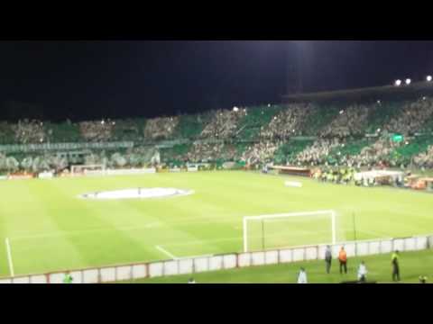 "Salida Atlético nacional vs Rosario central" Barra: Los del Sur • Club: Atlético Nacional