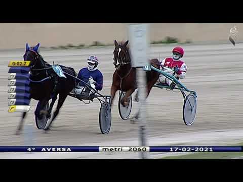 Aversa trotto 17 Febbraio 2021 - 4° Corsa
