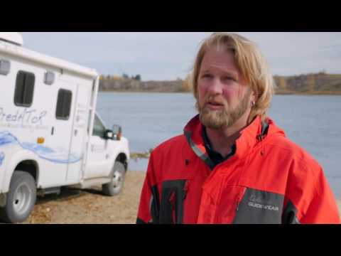 Researcher Profile: Markus Hecker