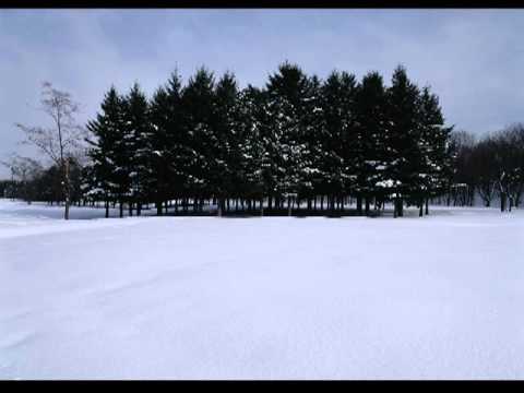 Colind -Grup Betleem Bivolarie - Zboara ingerii