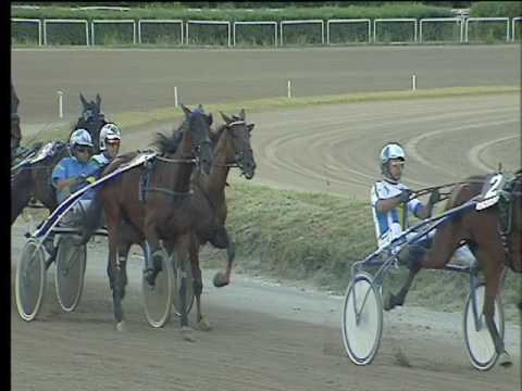 Trotto 08/07/2017 - 2ª corsa