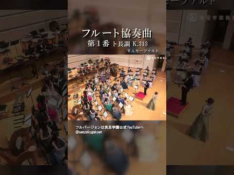 フルート協奏曲 第１番 ト長調 K.313