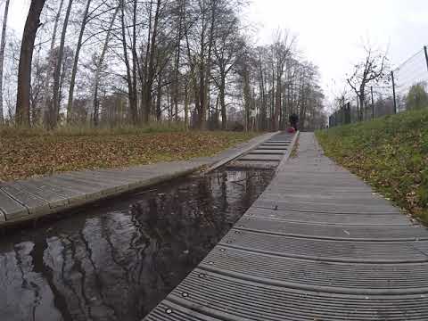 Spaß an der Bootsrolle im Spreewald