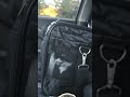 Kitten Panics On The Way To The Vet Cat Cats Viralvideo Kitten Meow Tuxedocat Cute