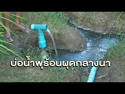 ค่าพรูสักค้อน บุหรี่เมนทอลและความอ่อนแอ