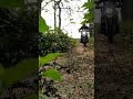 Jungle Ride With Hero Xpulse 200 Whatsapp Status