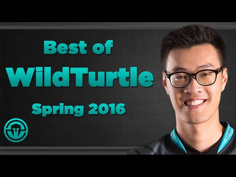 Best of  WildTurtle -  Spring 2016 - League of Legends Montage