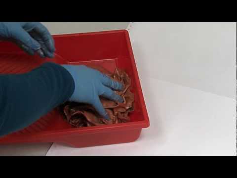 Видеообзор