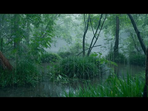 The beautiful little river is raining(110) , sleep, relax, meditate, study, work, ASMR