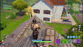 【Fortnite】久しぶりにやったらビクロイ余裕だった！？