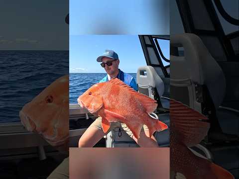 One for the books! absolute pleasure joining Bodhan for an offshore session #redemperor #offshore