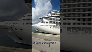 यह जहाज कैसे चलता है #cruise ship #merchant navy
