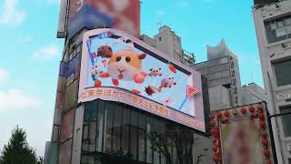 [閒聊] 天竺鼠車車 新宿3D廣告