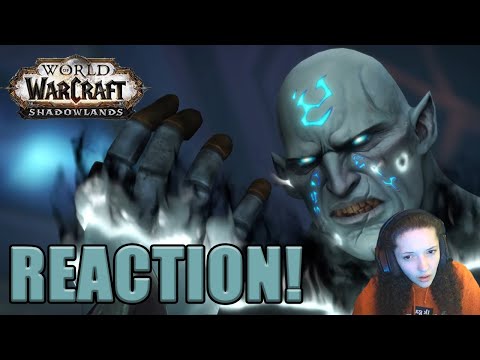 The Jailer's Fall | Raid Finale In-game Cinematic REACTION | Shadowlands Eternity's End