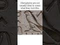How Did Egyptian Hieroglyphs Work? #shorts