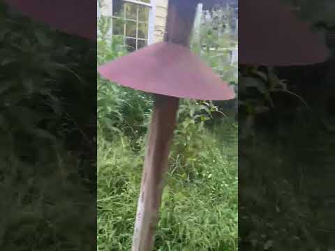 Salazar A Landscaper project video