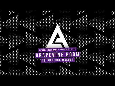 Grapevine Boom (Abi Melechh Mashup) - Tiësto, Gucci Mane & Sevenn x Tiësto