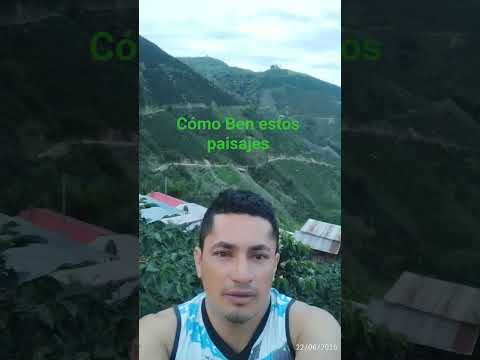 de paseo por las fincas de planadas Tolima #naturaleza 👍👍👍💪💪💪