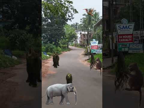 beautiful azan by qari obaidullah #trending #azan