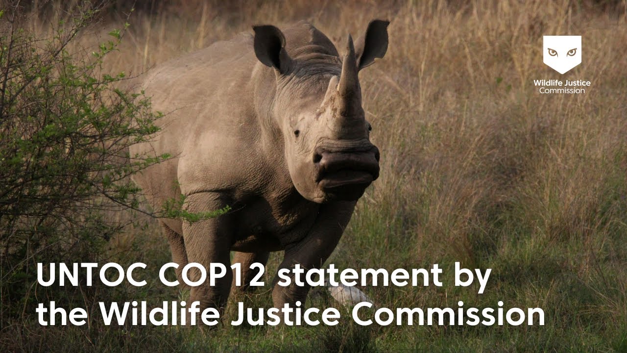 UNTOC COP12 Statement | Wildlife Justice Commission