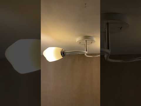 фото светильник потолочный люстра 1011/2-белый+хром 0