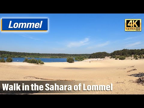 Stroll in Lommel Sahara (Belgium, 4K)