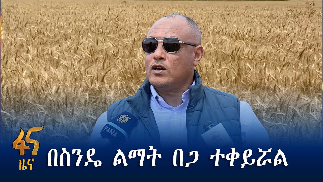 ሳር ከመሸጥ የተሻገረ ተጠቃሚነት