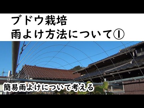 夏に果樹を昆虫や鳥から守るにはどうすればよいですか？編集者によってテストされ承認された 6 つのヒント  庭園