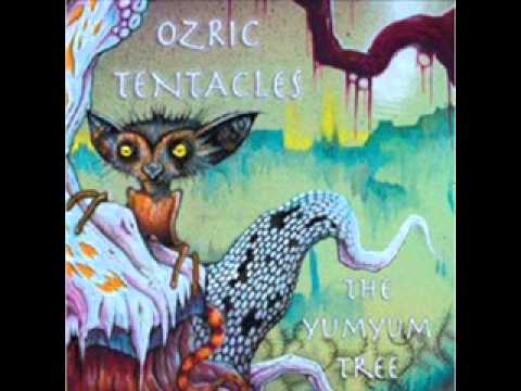 Ozric Tentacles - Magick Valley