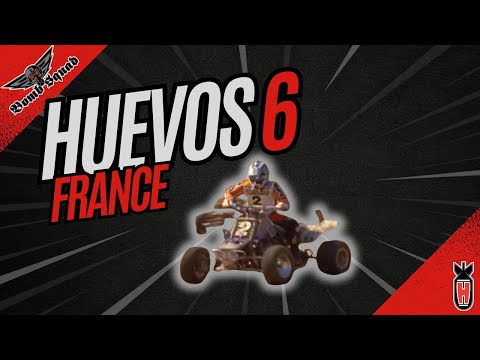 Huevos 6 FRANCE