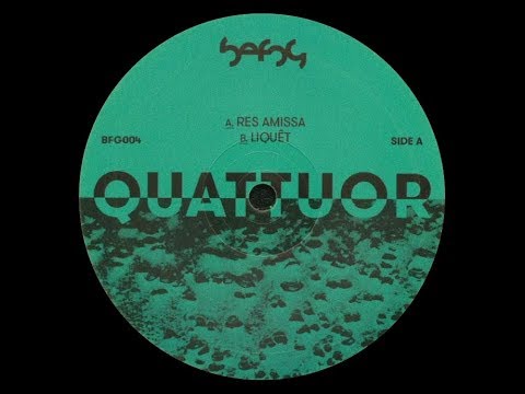 Befog - Res Amissa [BFG004]