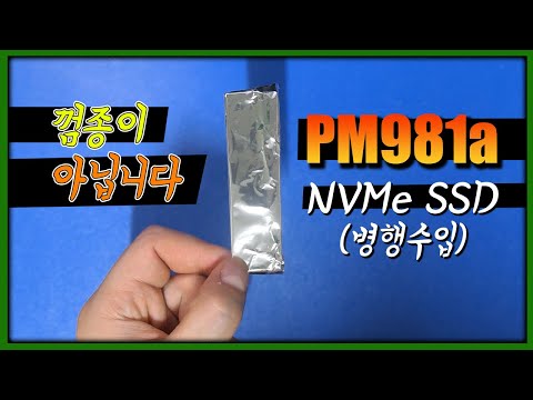 가성비 NVMe SSD - 삼성 PM981a 병행수입 512GB