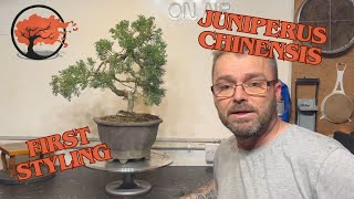 Juniper Bonsai Makeover: Unveiling the Results