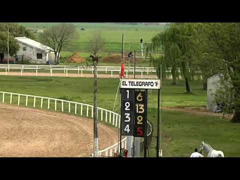 CARRERAS SINT 11 DE SETIEMBRE 2020 - WWW.MARONASONLINE.COM