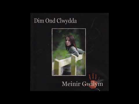 Meinir Gwilym - Wyt Ti'n Cofio