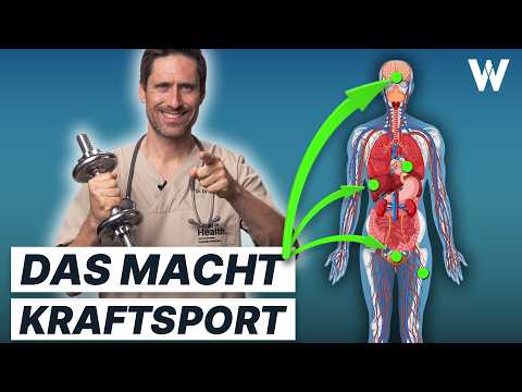 Krafttraining: 7 Effekte für Deinen Körper, die wir Ärzte lieben