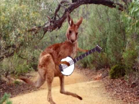 Skippy the bush kangaroo