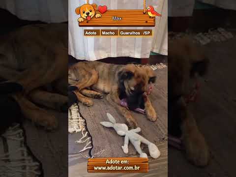 Vídeo de Max 