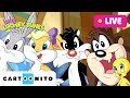 LIVE BABY LOONEY TUNES 24 Hours Compilation Cartoonito Cartoons For Kids