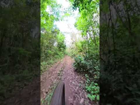 Trilas do Pedal Do Léo Ivoti  RS  #mtb #pedal #ciclismo