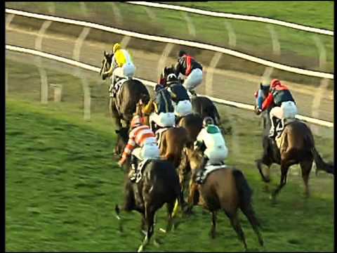 Galoppo 09/12/2015 - 3° corsa