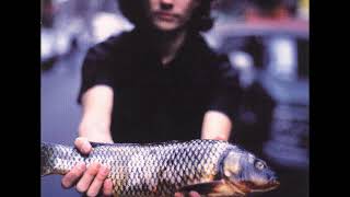 07 •  David Usher - Trickster