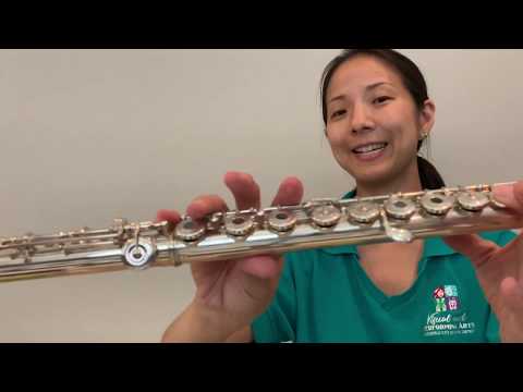 Flute - lesson 2- first 5 notes in beginning band