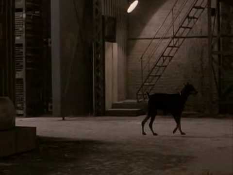 Remo Williams - Dogs scene
